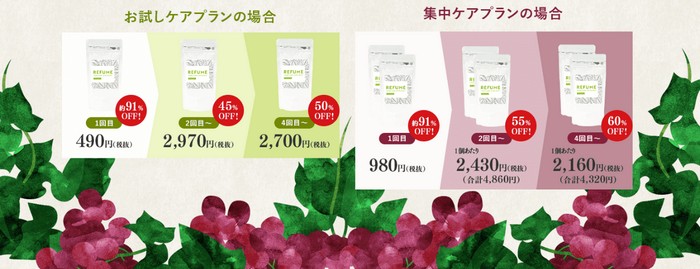 REFUME�i���t���[���j�������